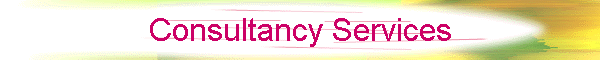 Consultancy Services